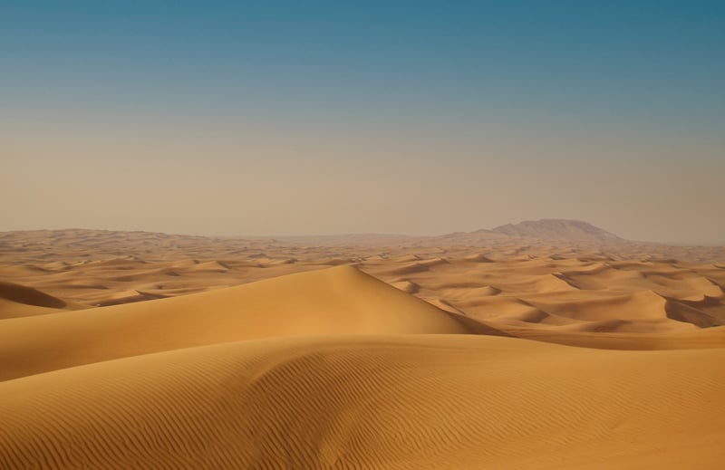 Desert safaris