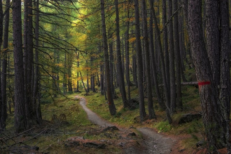 Lost Canyon Trail